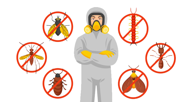 Servicios de Bioprotect Control de Plagas