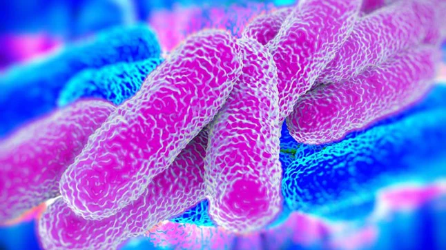 Legionella en malaga  | BioProtect