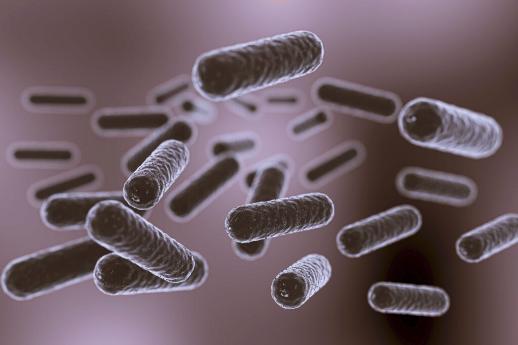 desinfeccion de bacterias en malaga | BioProtect
